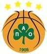 "Panathinaikos" papildys D.Kitchenas